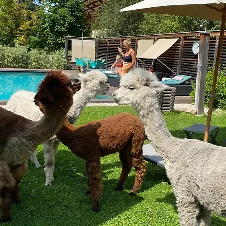 Dolomit Boutique Hotel 3*
